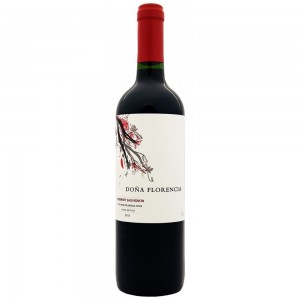 Dona Florencia Chile 2011 紅酒
